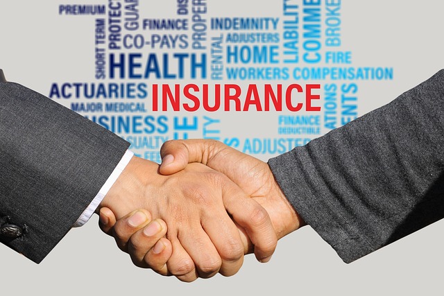 MATERIAL FACTS IN AN INSURANCE CONTRACT