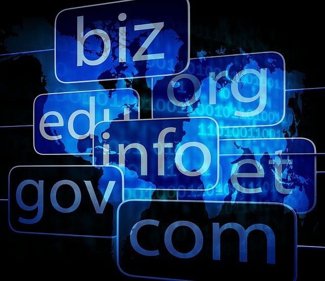 Domain Name Registration and Protection in Nigeria: Legal Frameworks and Emerging Trends